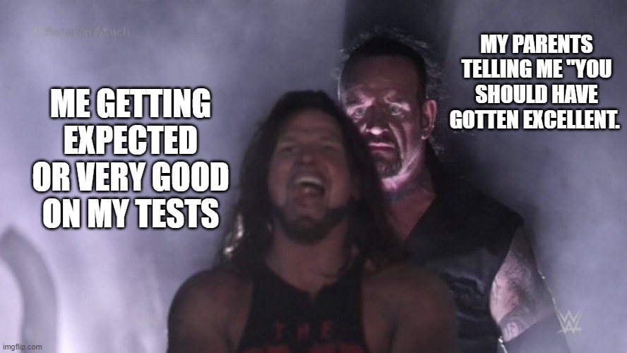 AJ Styles & Undertaker | MY PARENTS TELLING ME "YOU SHOULD HAVE GOTTEN EXCELLENT. ME GETTING EXPECTED OR VERY GOOD ON MY TESTS | image tagged in aj styles undertaker | made w/ Imgflip meme maker