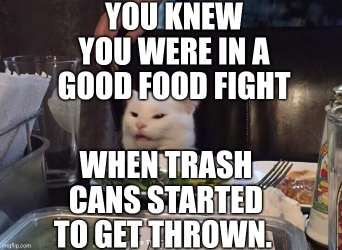 YOU KNEW YOU WERE IN A GOOD FOOD FIGHT; WHEN TRASH CANS STARTED TO GET THROWN. | image tagged in smudge the cat | made w/ Imgflip meme maker