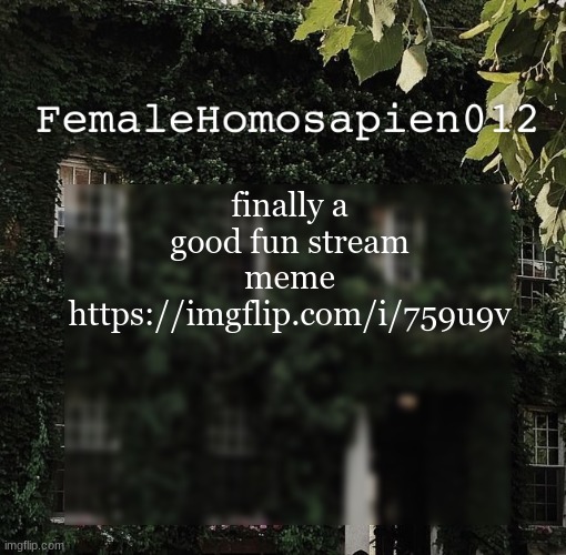 good-ish | finally a good fun stream meme https://imgflip.com/i/759u9v | image tagged in femalehomosapien012 | made w/ Imgflip meme maker