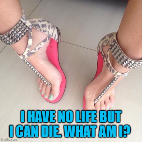 I HAVE NO LIFE BUT I CAN DIE. WHAT AM I? | image tagged in riddle | made w/ Imgflip meme maker