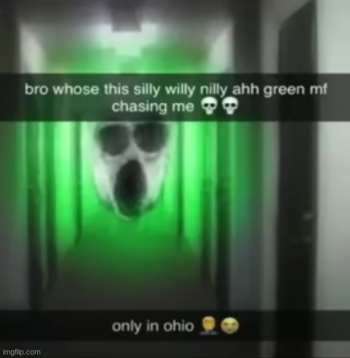 only in ohio moment | image tagged in ohio,onlyinohio,why are you reading this,stop reading the tags,dude,stop | made w/ Imgflip meme maker