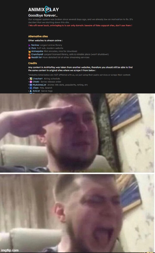 goodbye... old friend... | image tagged in crying salute | made w/ Imgflip meme maker
