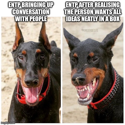 Outside The Box Thinking | ENTP AFTER REALISING
THE PERSON WANTS ALL
IDEAS NEATLY IN A BOX; ENTP BRINGING UP
CONVERSATION
WITH PEOPLE | image tagged in happy vs angry dog,entp,myers briggs,thinking,mbti,intelligence | made w/ Imgflip meme maker
