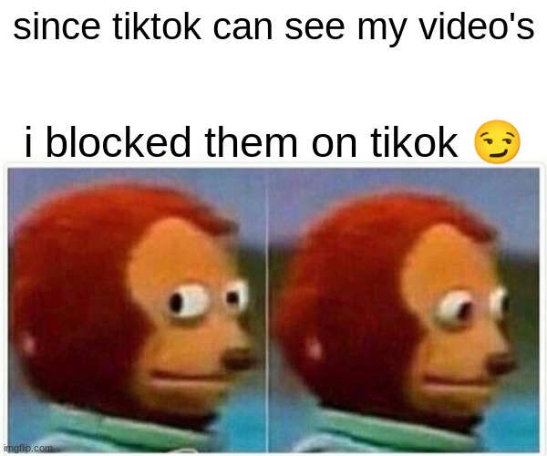 tiktok meme | since tiktok can see my video's; i blocked them on tikok 😏 | image tagged in memes,monkey puppet | made w/ Imgflip meme maker