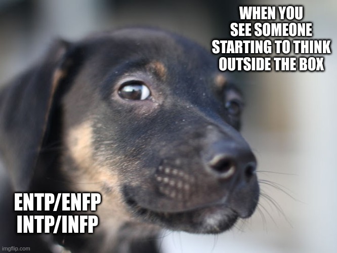 Good thinking |  WHEN YOU SEE SOMEONE STARTING TO THINK OUTSIDE THE BOX; ENTP/ENFP
INTP/INFP | image tagged in peering puppy,myers briggs,mbti,open minded,thinking,personality | made w/ Imgflip meme maker