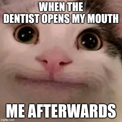 Beluga | WHEN THE DENTIST OPENS MY MOUTH; ME AFTERWARDS | image tagged in beluga | made w/ Imgflip meme maker
