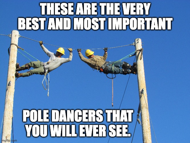 Thank you | THESE ARE THE VERY BEST AND MOST IMPORTANT; POLE DANCERS THAT YOU WILL EVER SEE. | image tagged in bad pun | made w/ Imgflip meme maker