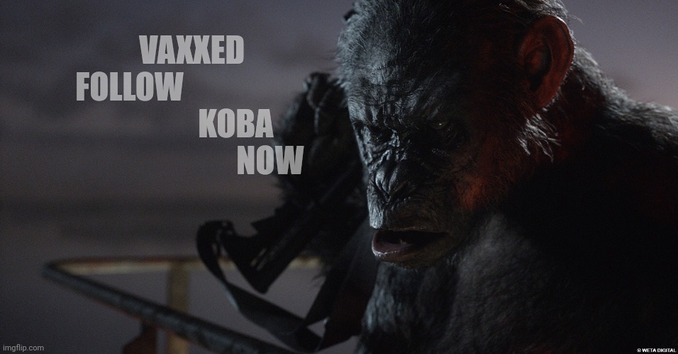 Apes Follow Koba Now,,, | VAXXED        FOLLOW                           
       KOBA
                  NOW | image tagged in apes follow koba now | made w/ Imgflip meme maker