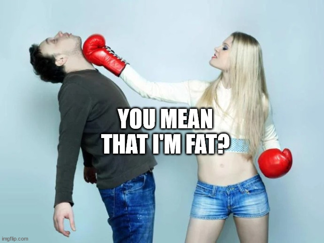Am I fat? | YOU MEAN THAT I'M FAT? | image tagged in punch,fat,girlfriend | made w/ Imgflip meme maker