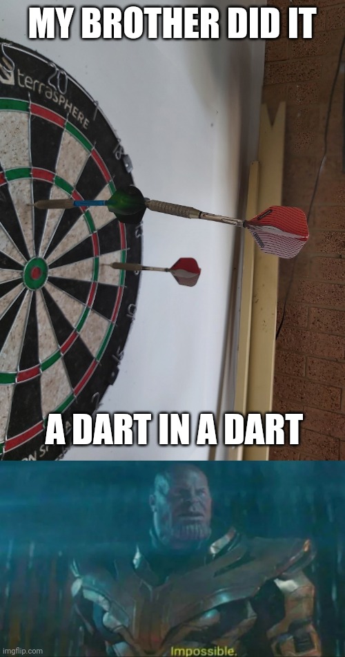 Can't believe he did it | MY BROTHER DID IT; A DART IN A DART | image tagged in thanos impossible | made w/ Imgflip meme maker