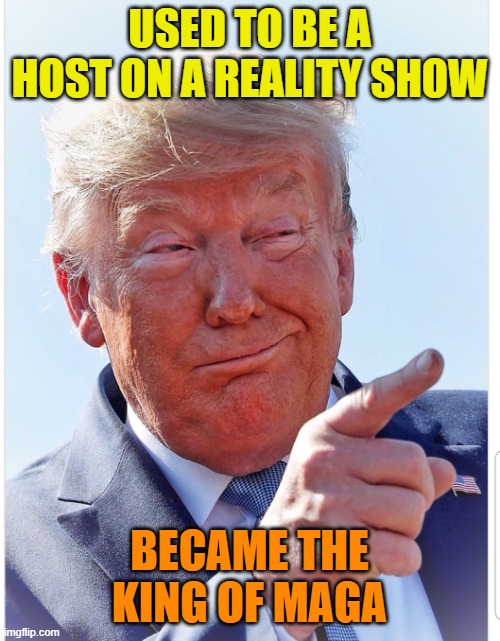 Trump pointing | USED TO BE A HOST ON A REALITY SHOW BECAME THE KING OF MAGA | image tagged in trump pointing | made w/ Imgflip meme maker