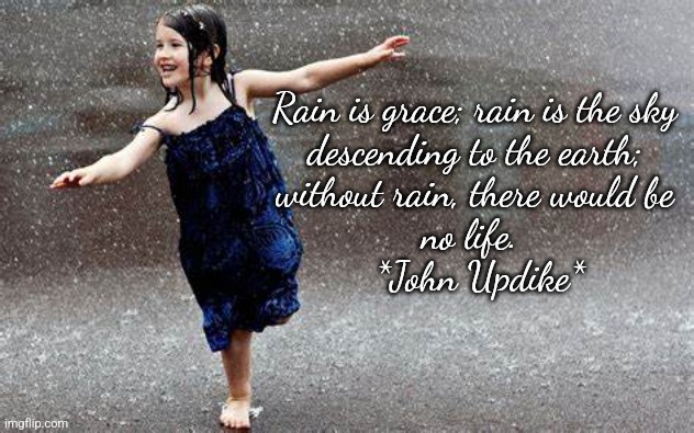 Rain | Rain is grace; rain is the sky 
descending to the earth; 
without rain, there would be 
no life.  
*John Updike* | image tagged in nature,wisdom | made w/ Imgflip meme maker