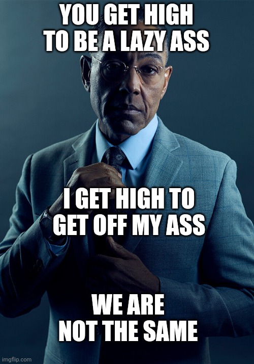 Don't do drugs! |  YOU GET HIGH TO BE A LAZY ASS; I GET HIGH TO GET OFF MY ASS; WE ARE NOT THE SAME | image tagged in gus fring we are not the same,don't do drugs,drugs are bad,one does not simply do drugs,chores | made w/ Imgflip meme maker
