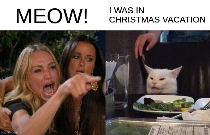 Woman Yelling At Cat | MEOW! I WAS IN CHRISTMAS VACATION | image tagged in memes,woman yelling at cat | made w/ Imgflip meme maker