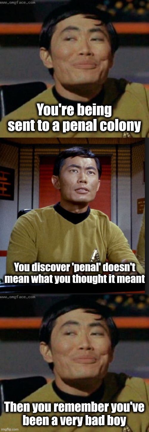 Calm, panic, calm | You're being sent to a penal colony; You discover 'penal' doesn't mean what you thought it meant; Then you remember you've
been a very bad boy | image tagged in sulu,memes,penal colony,kalm panik kalm,star trek | made w/ Imgflip meme maker