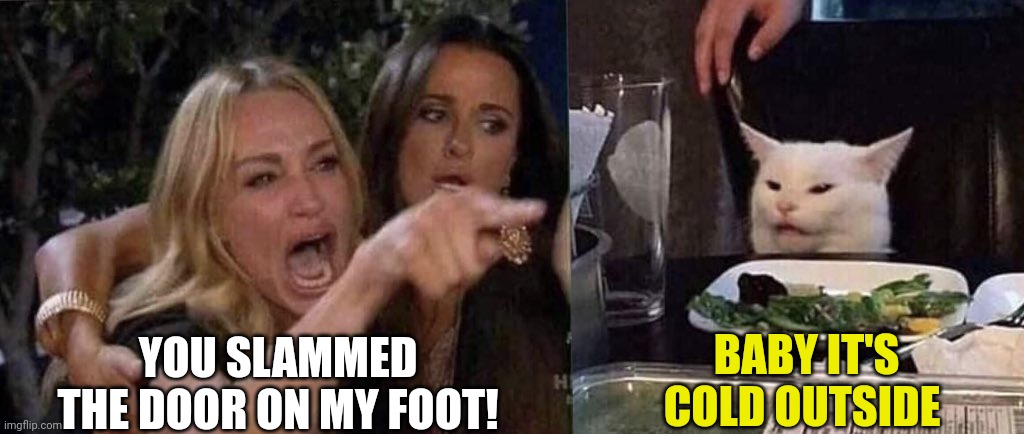 woman yelling at cat | BABY IT'S COLD OUTSIDE; YOU SLAMMED THE DOOR ON MY FOOT! | image tagged in woman yelling at cat | made w/ Imgflip meme maker