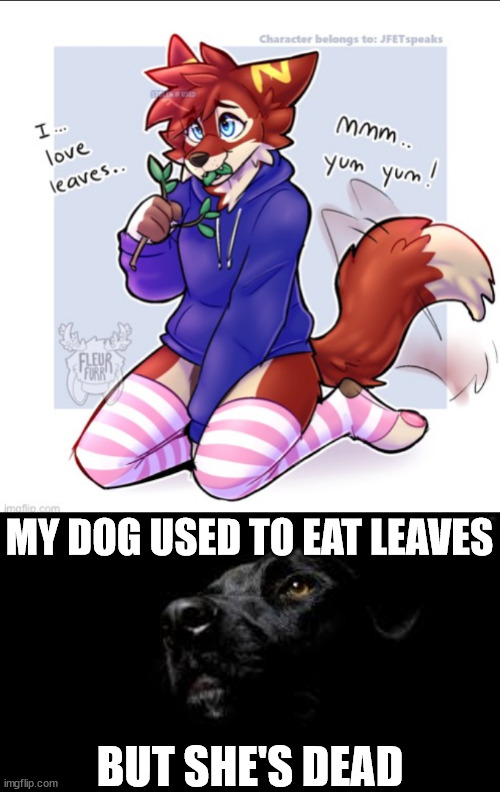 /srs 3 of my dogs died, they were with me since i was born | MY DOG USED TO EAT LEAVES; BUT SHE'S DEAD | image tagged in black dog of depression | made w/ Imgflip meme maker