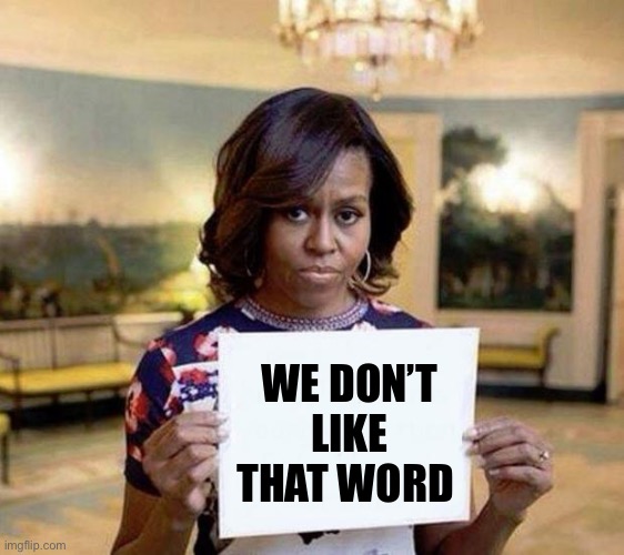 Michelle Obama blank sheet | WE DON’T LIKE THAT WORD | image tagged in michelle obama blank sheet | made w/ Imgflip meme maker