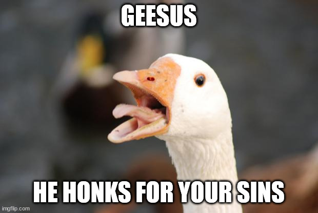 GEESUS | GEESUS; HE HONKS FOR YOUR SINS | image tagged in angry goose | made w/ Imgflip meme maker