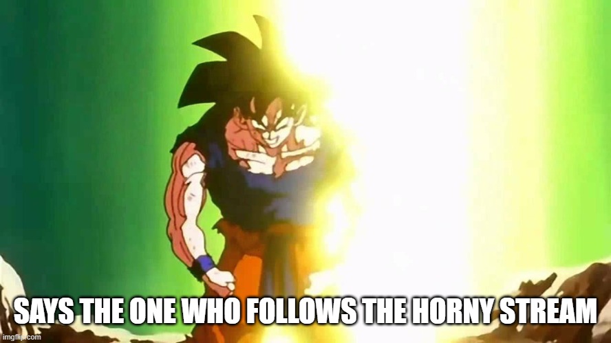 Angry Goku | SAYS THE ONE WHO FOLLOWS THE HORNY STREAM | image tagged in angry goku | made w/ Imgflip meme maker