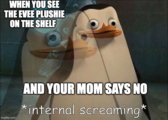 Private Internal Screaming | WHEN YOU SEE THE EVEE PLUSHIE ON THE SHELF; AND YOUR MOM SAYS NO | image tagged in private internal screaming | made w/ Imgflip meme maker