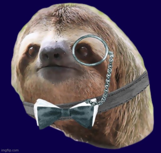 Monocle sloth transparent | image tagged in monocle sloth transparent | made w/ Imgflip meme maker