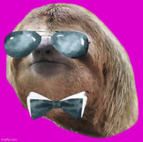 Bowtie sunglasses sloth transparent | image tagged in bowtie sunglasses sloth transparent | made w/ Imgflip meme maker