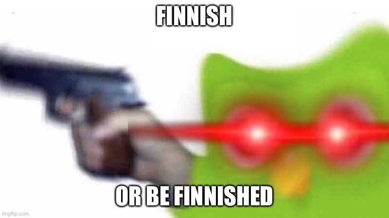 Finnish or be finnished | FINNISH; OR BE FINNISHED | image tagged in memes,duolingo,funny | made w/ Imgflip meme maker