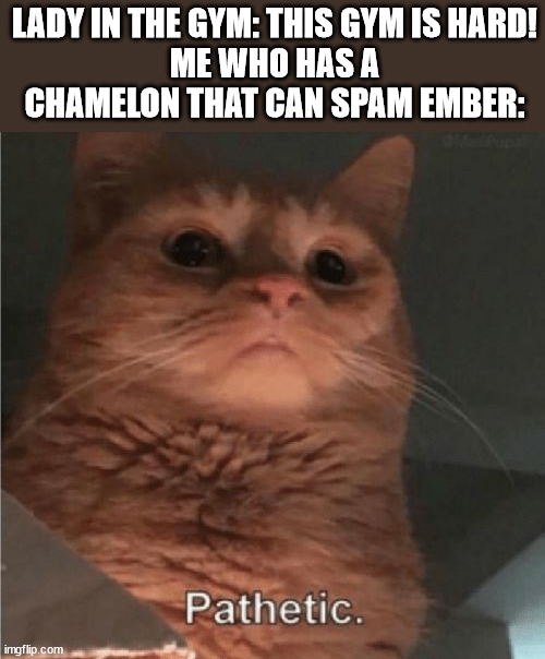 Pathetic Cat | LADY IN THE GYM: THIS GYM IS HARD!
ME WHO HAS A CHAMELON THAT CAN SPAM EMBER: | image tagged in pathetic cat | made w/ Imgflip meme maker
