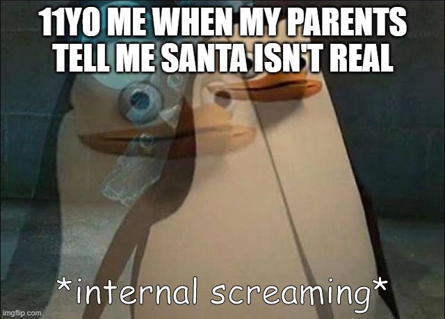 Ehh... I'm fine (AAAAAAAAAAAAAAAAAAAAAAAAAAAAAAAAAAAAAAAH) | 11YO ME WHEN MY PARENTS TELL ME SANTA ISN'T REAL | image tagged in private internal screaming | made w/ Imgflip meme maker