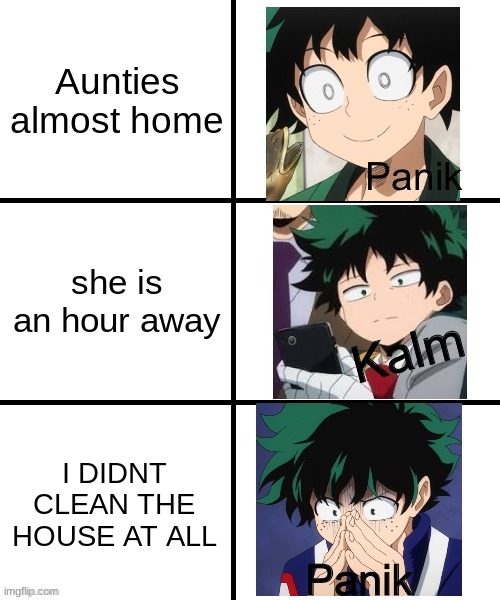 Panik Deku | Aunties almost home; she is an hour away; I DIDNT CLEAN THE HOUSE AT ALL | image tagged in panik deku | made w/ Imgflip meme maker