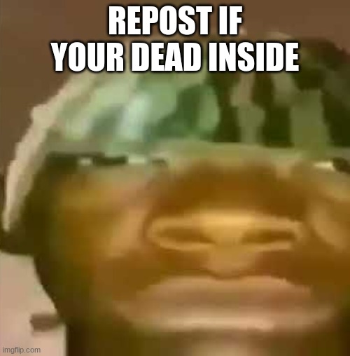 shitpost | REPOST IF YOUR DEAD INSIDE | image tagged in shitpost | made w/ Imgflip meme maker