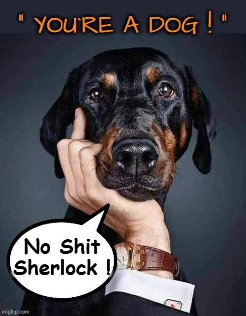 I am a Dog ! | image tagged in no shit sherlock | made w/ Imgflip meme maker