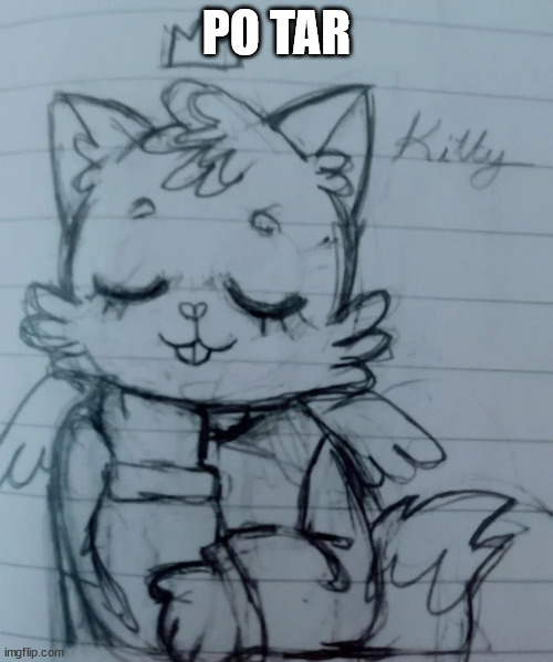 kitty think about smth | PO TAR | image tagged in kitty think about smth | made w/ Imgflip meme maker
