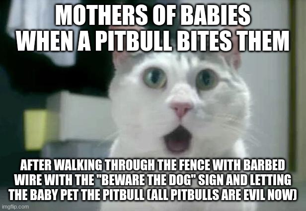 Waiter! Waiter! More toddlers, please! | MOTHERS OF BABIES WHEN A PITBULL BITES THEM; AFTER WALKING THROUGH THE FENCE WITH BARBED WIRE WITH THE "BEWARE THE DOG" SIGN AND LETTING THE BABY PET THE PITBULL (ALL PITBULLS ARE EVIL NOW) | image tagged in memes,omg cat,pitbull,baby,beware,dog | made w/ Imgflip meme maker