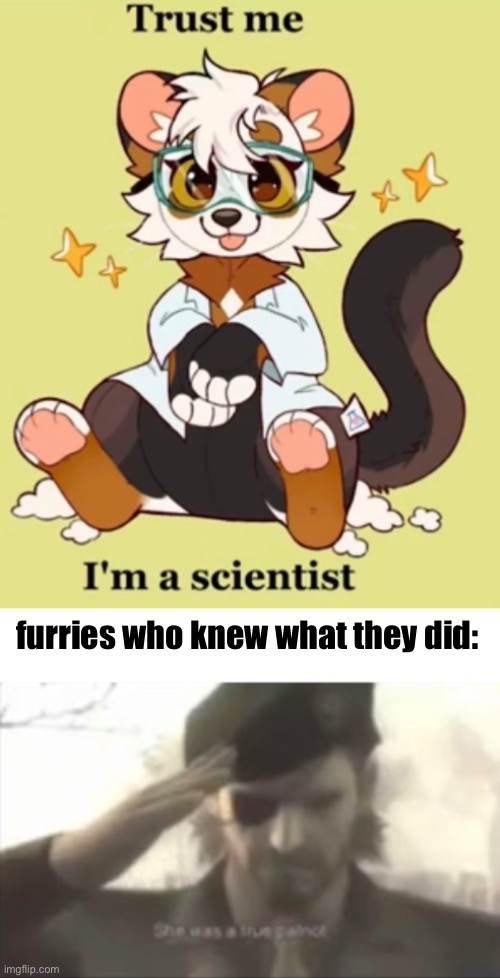 the artist and persons fursona is Chise | furries who knew what they did: | made w/ Imgflip meme maker