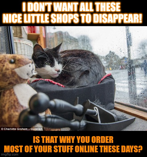 This lolcat wonders if people know why independent shops are disappearing | I DON'T WANT ALL THESE 
NICE LITTLE SHOPS TO DISAPPEAR! IS THAT WHY YOU ORDER
MOST OF YOUR STUFF ONLINE THESE DAYS? | image tagged in independent,shopping,shops,lolcat,online shopping,think about it | made w/ Imgflip meme maker