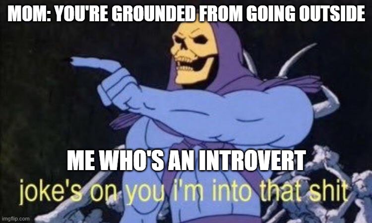 *insert title | MOM: YOU'RE GROUNDED FROM GOING OUTSIDE; ME WHO'S AN INTROVERT | image tagged in joke's on you i'm into that shit | made w/ Imgflip meme maker