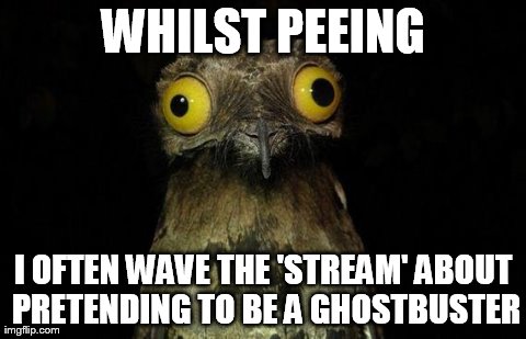 Weird Stuff I Do Potoo Meme | WHILST PEEING I OFTEN WAVE THE 'STREAM' ABOUT PRETENDING TO BE A GHOSTBUSTER | image tagged in memes,weird stuff i do potoo | made w/ Imgflip meme maker