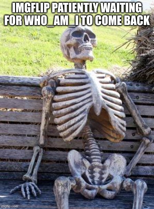 He will | IMGFLIP PATIENTLY WAITING FOR WHO_AM_I TO COME BACK | image tagged in memes,waiting skeleton | made w/ Imgflip meme maker