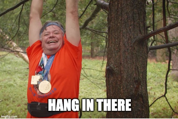 Hanging Tree Man | HANG IN THERE | image tagged in funny,inspirational,hanging | made w/ Imgflip meme maker