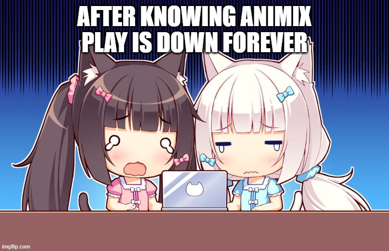 cute anime girls | AFTER KNOWING ANIMIX PLAY IS DOWN FOREVER | image tagged in cute anime girls | made w/ Imgflip meme maker