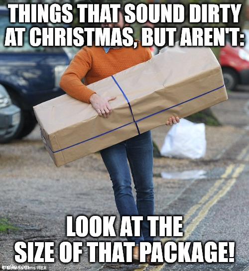 Things That Sound Dirty At Christmas | THINGS THAT SOUND DIRTY AT CHRISTMAS, BUT AREN'T:; LOOK AT THE SIZE OF THAT PACKAGE! | image tagged in package,christmas,funny,humor,pun,double entendre | made w/ Imgflip meme maker