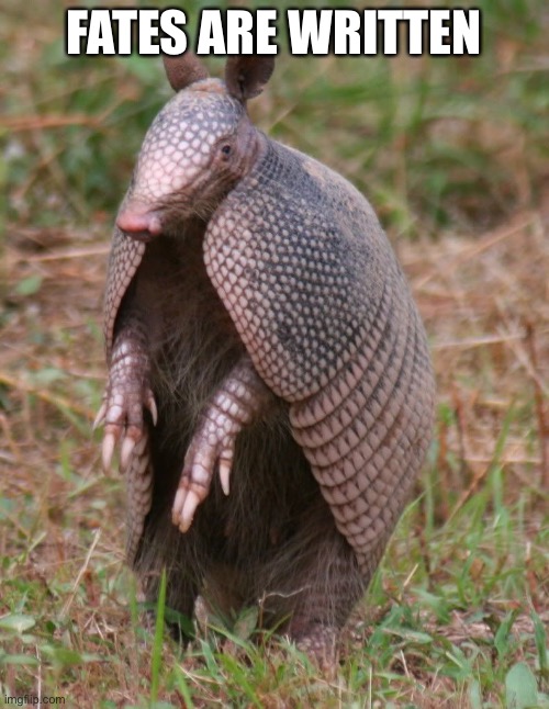 armadillo | FATES ARE WRITTEN | image tagged in armadillo,mighty zip | made w/ Imgflip meme maker