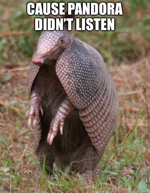 armadillo | CAUSE PANDORA DIDN’T LISTEN | image tagged in armadillo,mighty zip | made w/ Imgflip meme maker