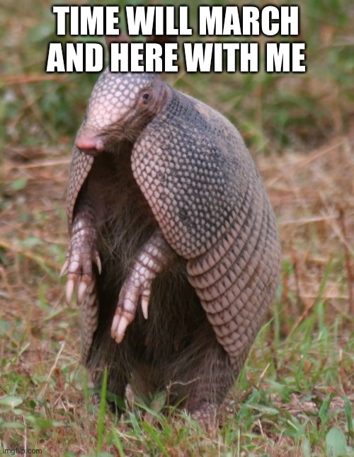 armadillo | TIME WILL MARCH AND HERE WITH ME | image tagged in armadillo,mighty zip | made w/ Imgflip meme maker