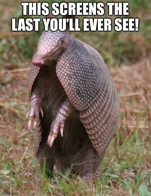 armadillo | THIS SCREENS THE LAST YOU’LL EVER SEE! | image tagged in armadillo,mighty zip | made w/ Imgflip meme maker