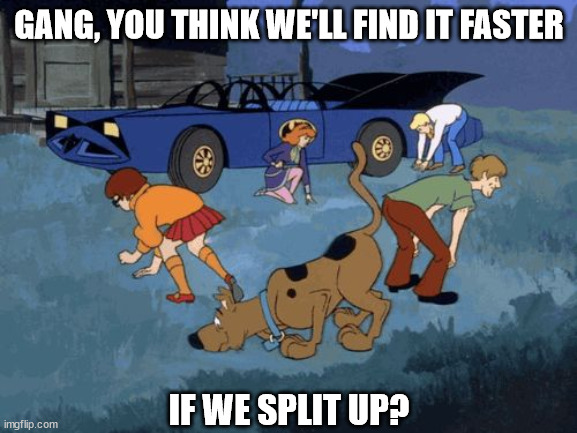 Scooby Doo Search | GANG, YOU THINK WE'LL FIND IT FASTER; IF WE SPLIT UP? | image tagged in scooby doo search | made w/ Imgflip meme maker