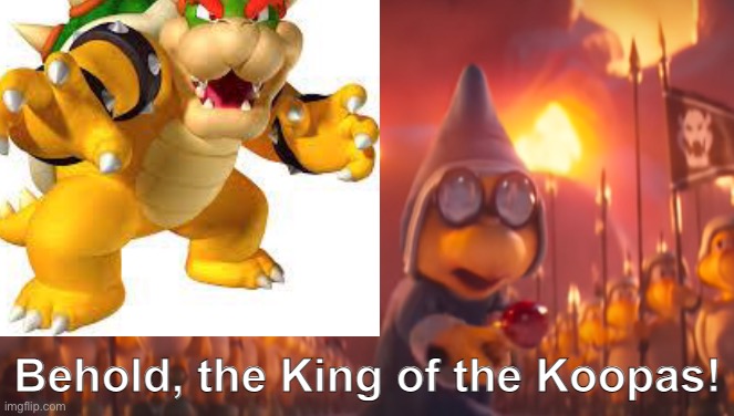 image tagged in bowser,kamek,koopa troopa | made w/ Imgflip meme maker