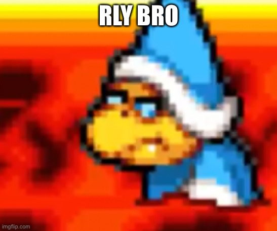 Really?! | RLY BRO | image tagged in really,kamek | made w/ Imgflip meme maker